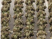 Армия Европы vs НАТО. Для чего создают PESCO и что выберет Украина