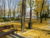 Обстрелы, золотая картошка, ковидные страсти и колесо обозрения с подогревом. Как живет Донецк осенью-2021