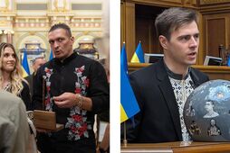 Президент-боксер та партія "Шолом". Які перспективи у політиці у Усіка та Гераскевича