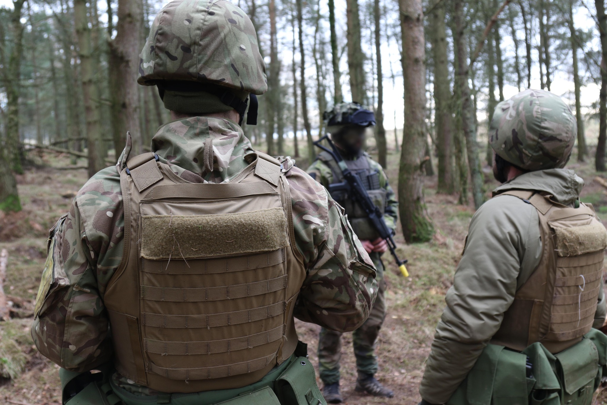 навчання українців