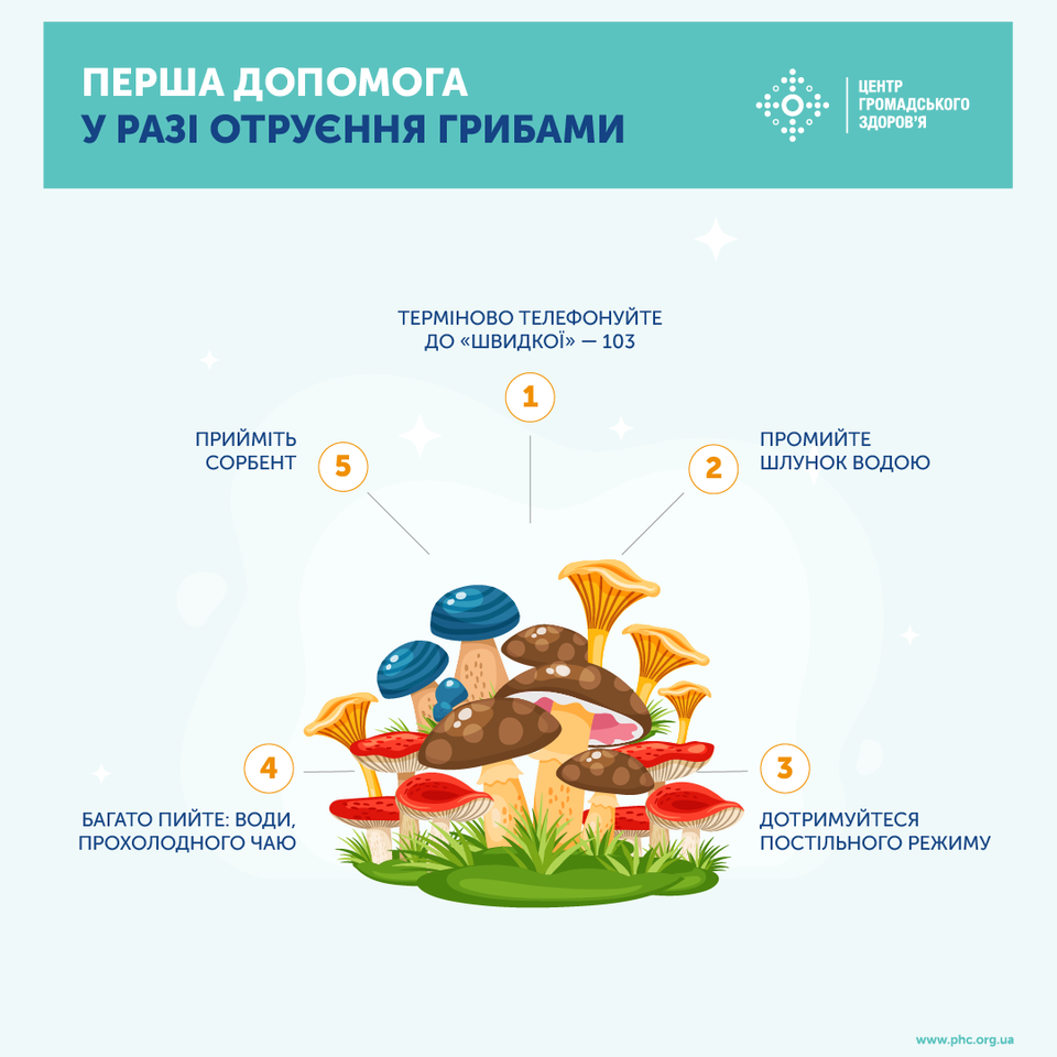 Врачи напомнили о мерах предосторожности употребления диких грибов