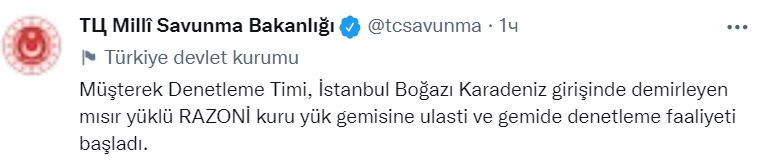 Первый сухогруз с украинским зерном уже проходит контроль в Стамбуле