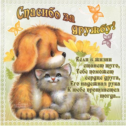 спасибо за дружбу