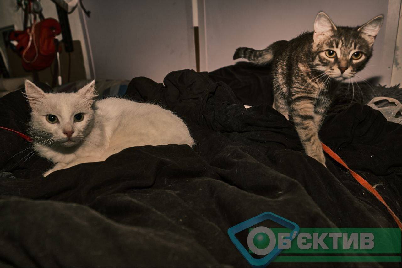 бомбоубежище Харькова