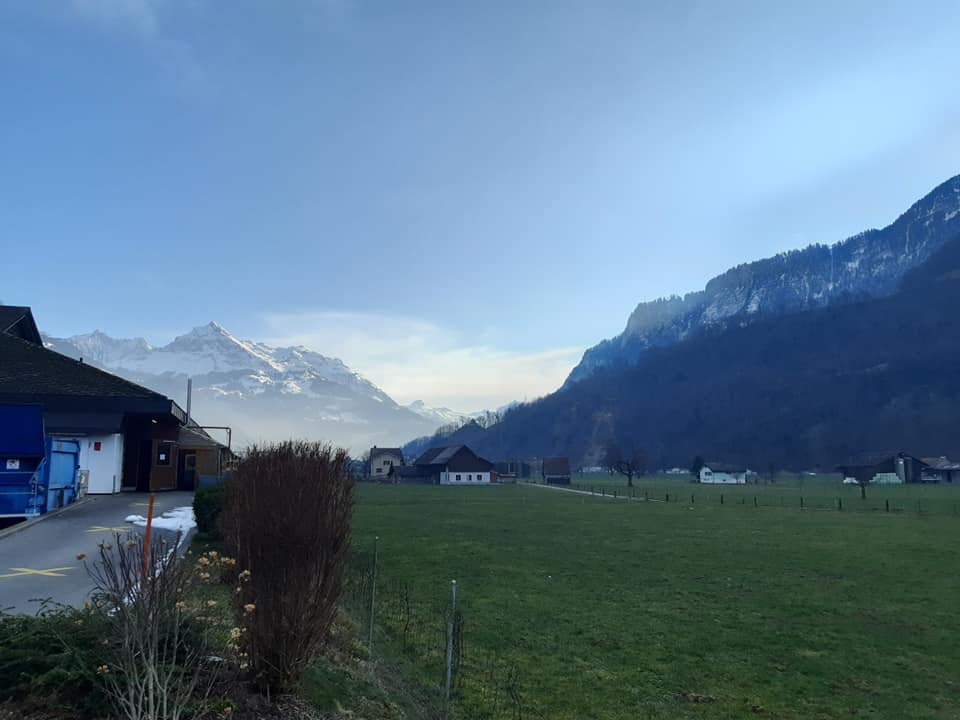 Сенцов едет в Давос