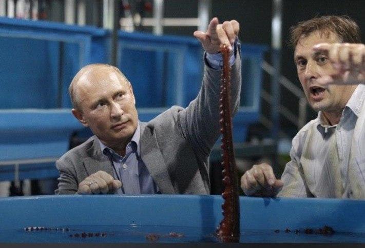 Фото:&nbsp;20.kremlin.ru