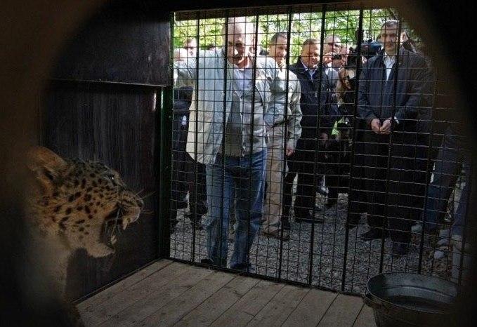 Фото:&nbsp;20.kremlin.ru