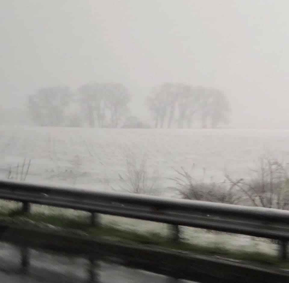 Фото Южаниной в Facebook